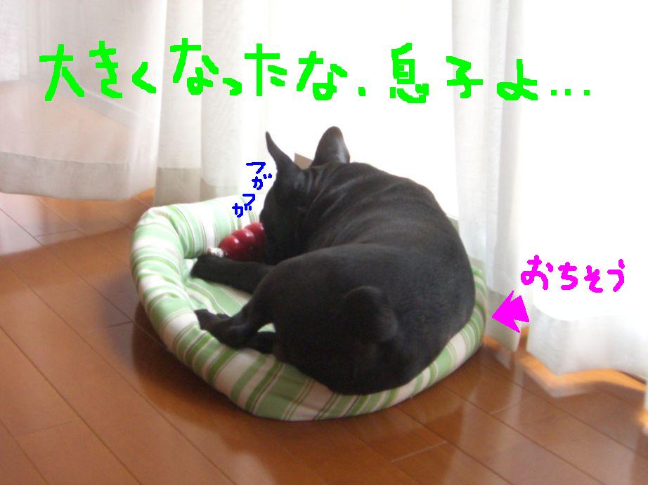 c0113109_0251580.jpg