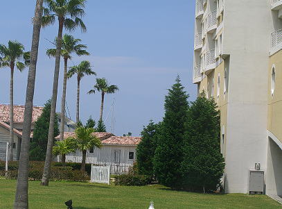 e0112312_16313741.jpg