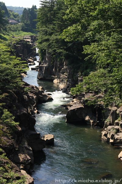 e0121814_1173266.jpg