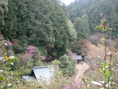 f0054428_1765175.jpg