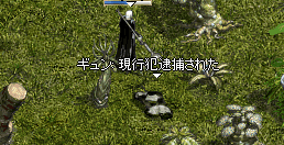 a0099729_9125759.gif