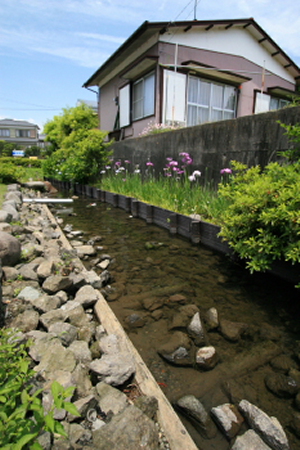 c0124029_2117440.jpg