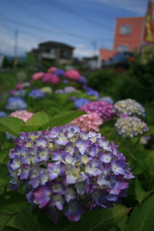 c0124029_21182397.jpg
