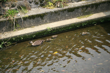 c0124029_21354641.jpg