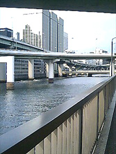 f0039934_225562.jpg