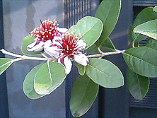 f0039934_243194.jpg