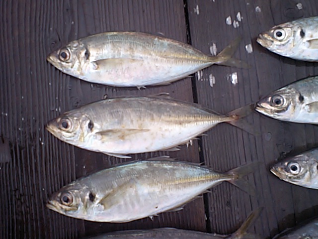 f0009238_20483565.jpg