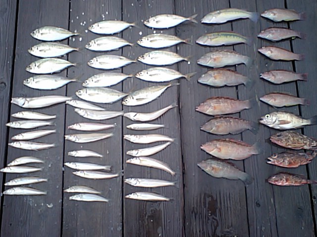 f0009238_20483580.jpg