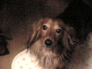 c0125046_22401659.jpg