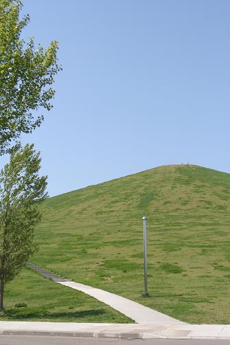 d0114646_10165915.jpg