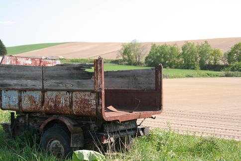 d0114646_10444130.jpg