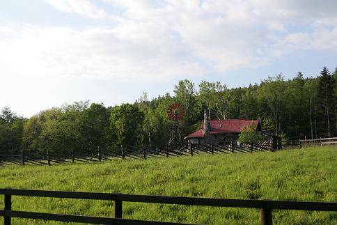 d0114646_11102789.jpg