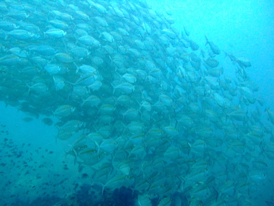 e0027447_123464.jpg
