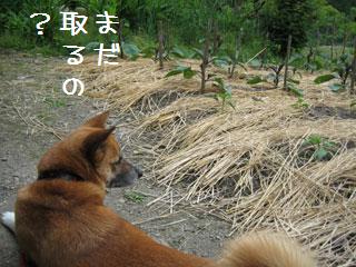 a0054948_12463690.jpg