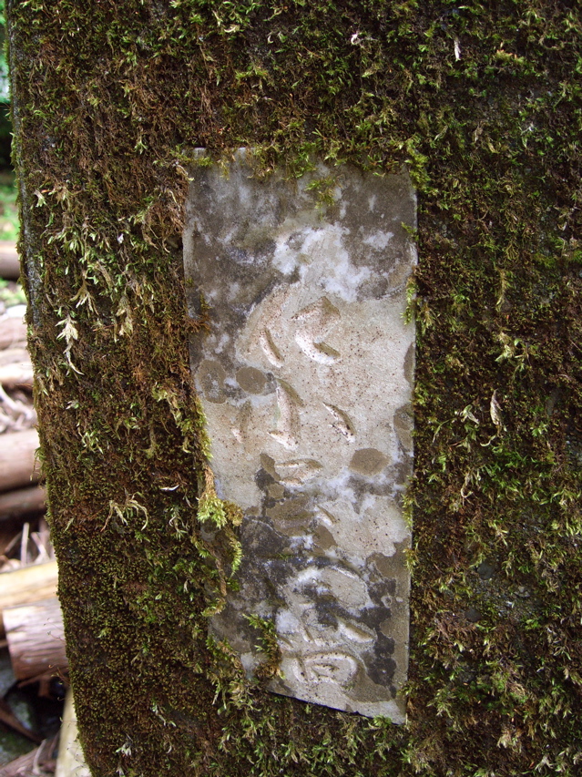 c0064553_121094.jpg