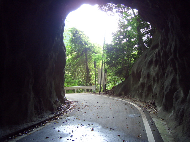 c0064553_1254260.jpg
