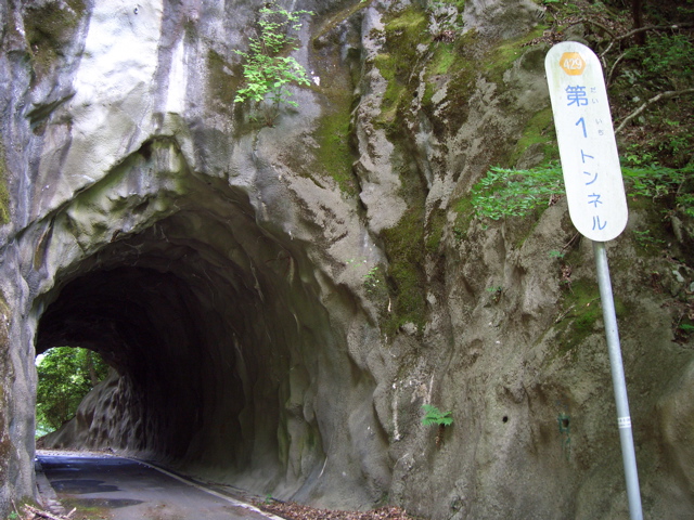 c0064553_125585.jpg