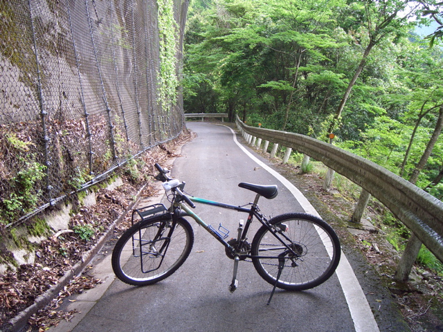 c0064553_1264344.jpg