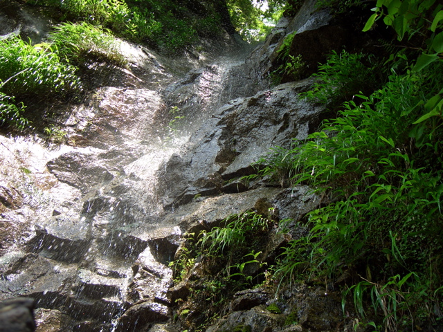 c0064553_17643.jpg