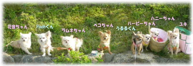 e0088654_10181168.jpg