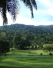 c0032256_20494859.jpg
