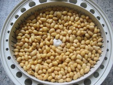 f0116158_22313546.jpg