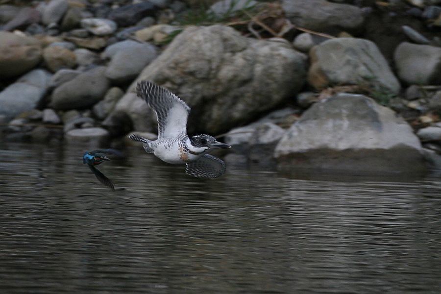f0103860_22435032.jpg