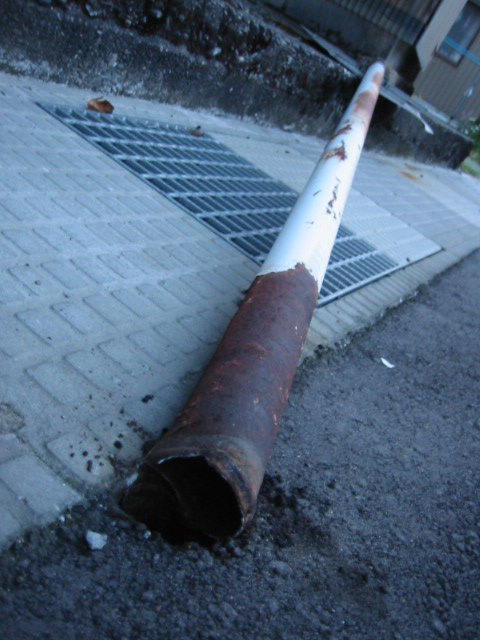 d0094868_10371775.jpg