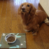 f0089568_091221.jpg