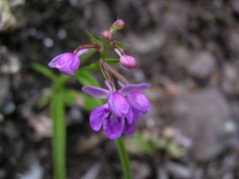 c0042869_20183065.jpg