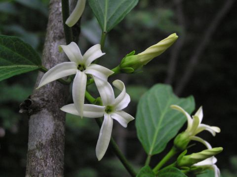c0042869_20195144.jpg
