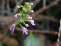 c0042869_20202568.jpg