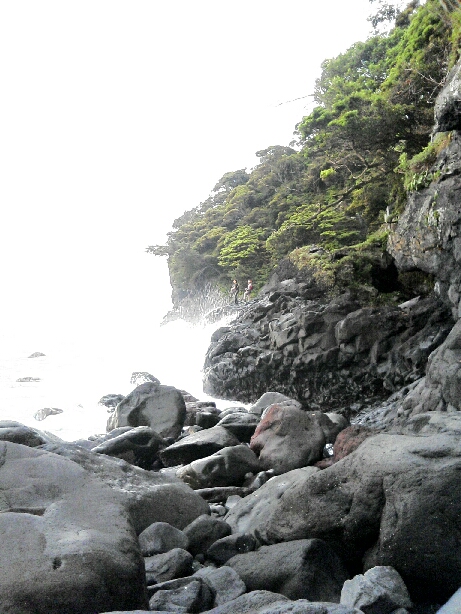 c0025471_813443.jpg