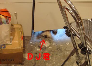 b0091373_2144527.jpg