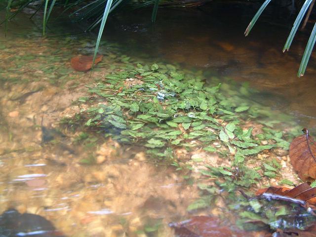 a0067578_6495459.jpg