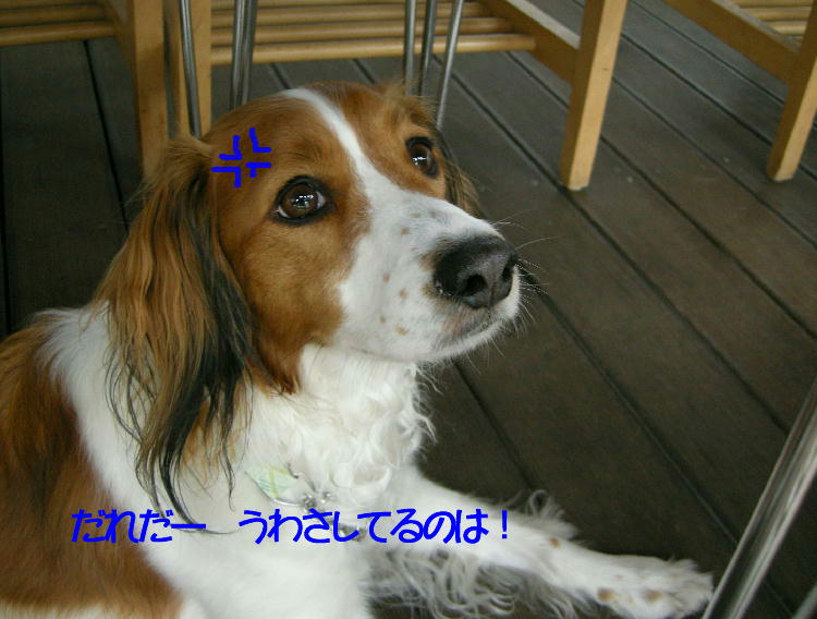 c0075585_0225270.jpg