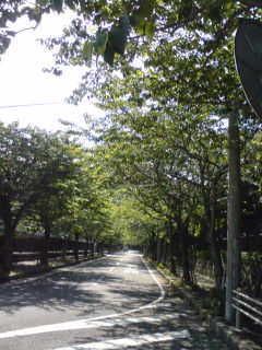 c0035386_223322.jpg