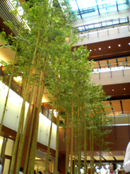 f0069491_141826.jpg