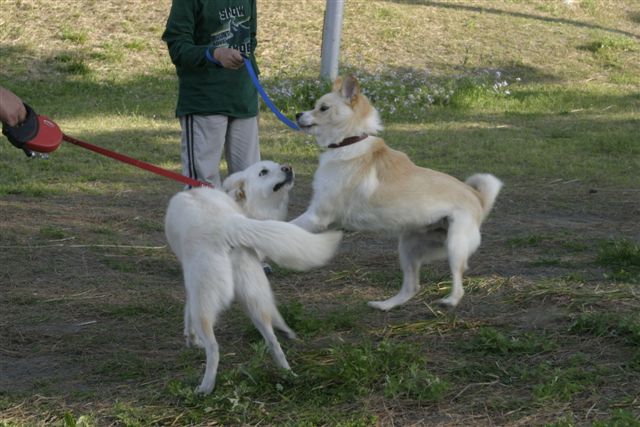 f0123098_22103351.jpg