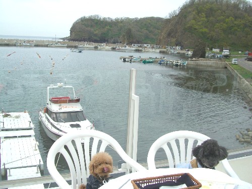 c0110906_21295441.jpg