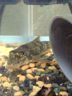 f0034007_22534943.jpg