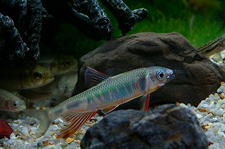 f0034007_22541031.jpg