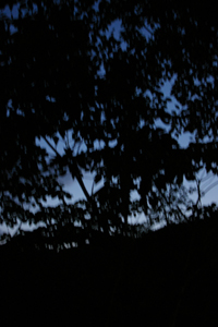 e0105916_9163044.jpg