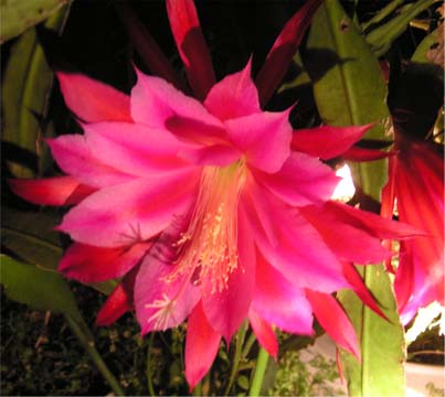 f0128723_1523086.jpg