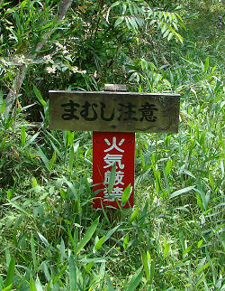 f0007926_1610141.jpg