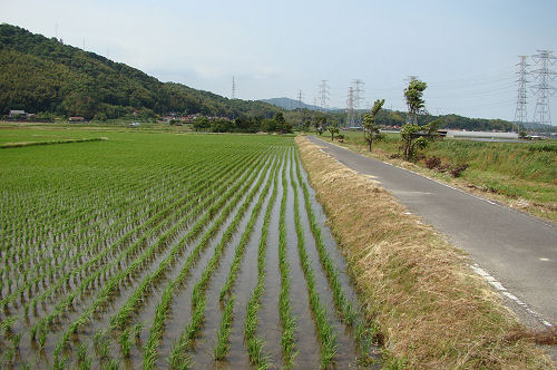 f0007926_161595.jpg