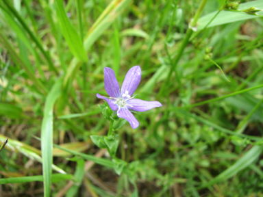 f0054428_14451628.jpg