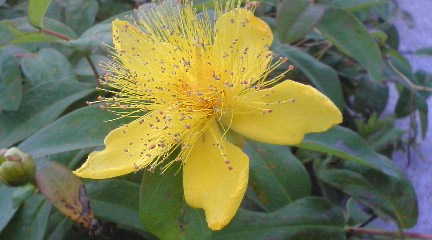 f0073239_2191689.jpg