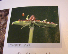 f0032340_10111347.jpg