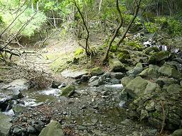 f0065941_11402179.jpg